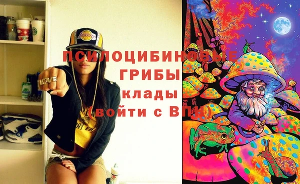 стаф Дмитриев