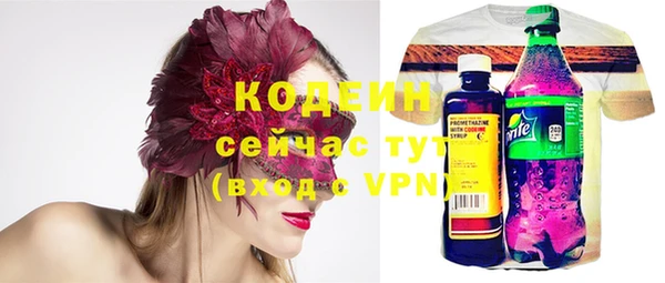 стаф Дмитриев