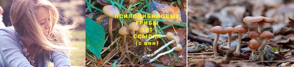мефедрон мука Дмитров