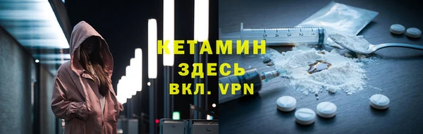 стаф Дмитриев