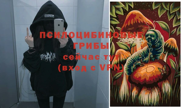 СК Дмитровск