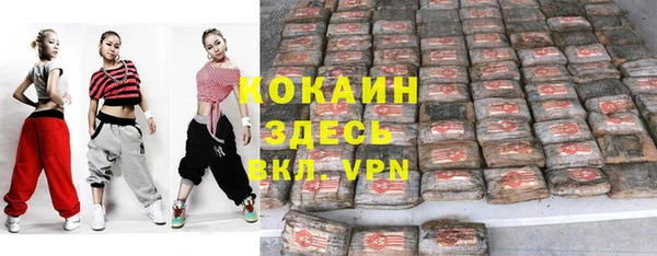 стаф Дмитриев
