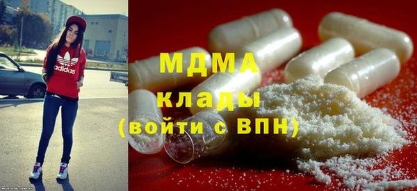 PSILOCYBIN Ельня
