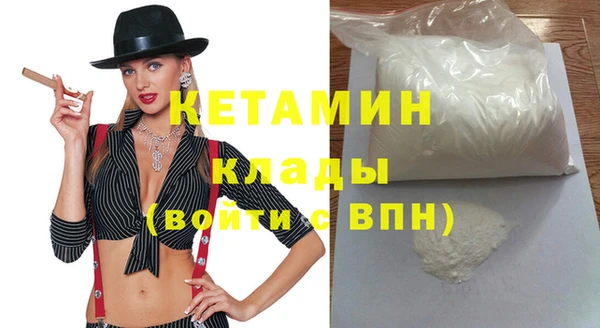 PSILOCYBIN Ельня