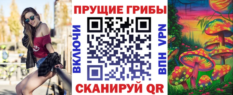 Купить  Оренбург  Псилоцибиновые грибы прущие грибы 